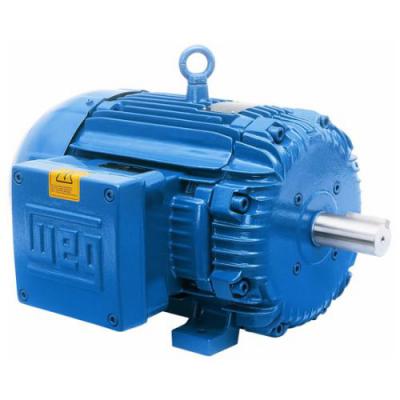 Motor Electrico Weg 001